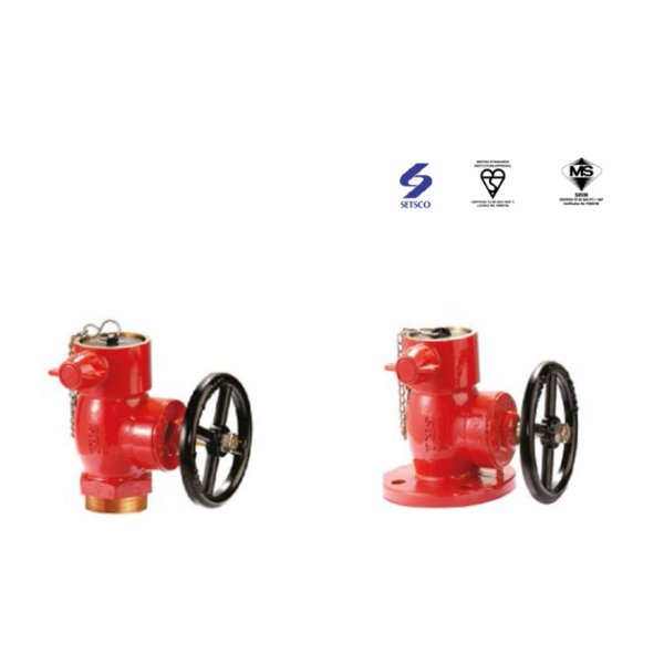 Fire Hydrant Valve